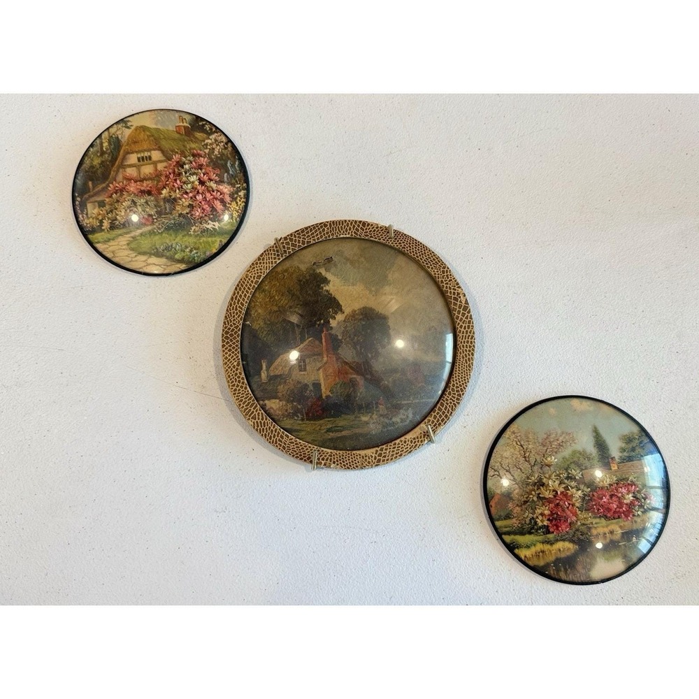 VTG Round Convex Glass Wall Art Cottages W/ Dried Flowers Set Of 3 3D Art